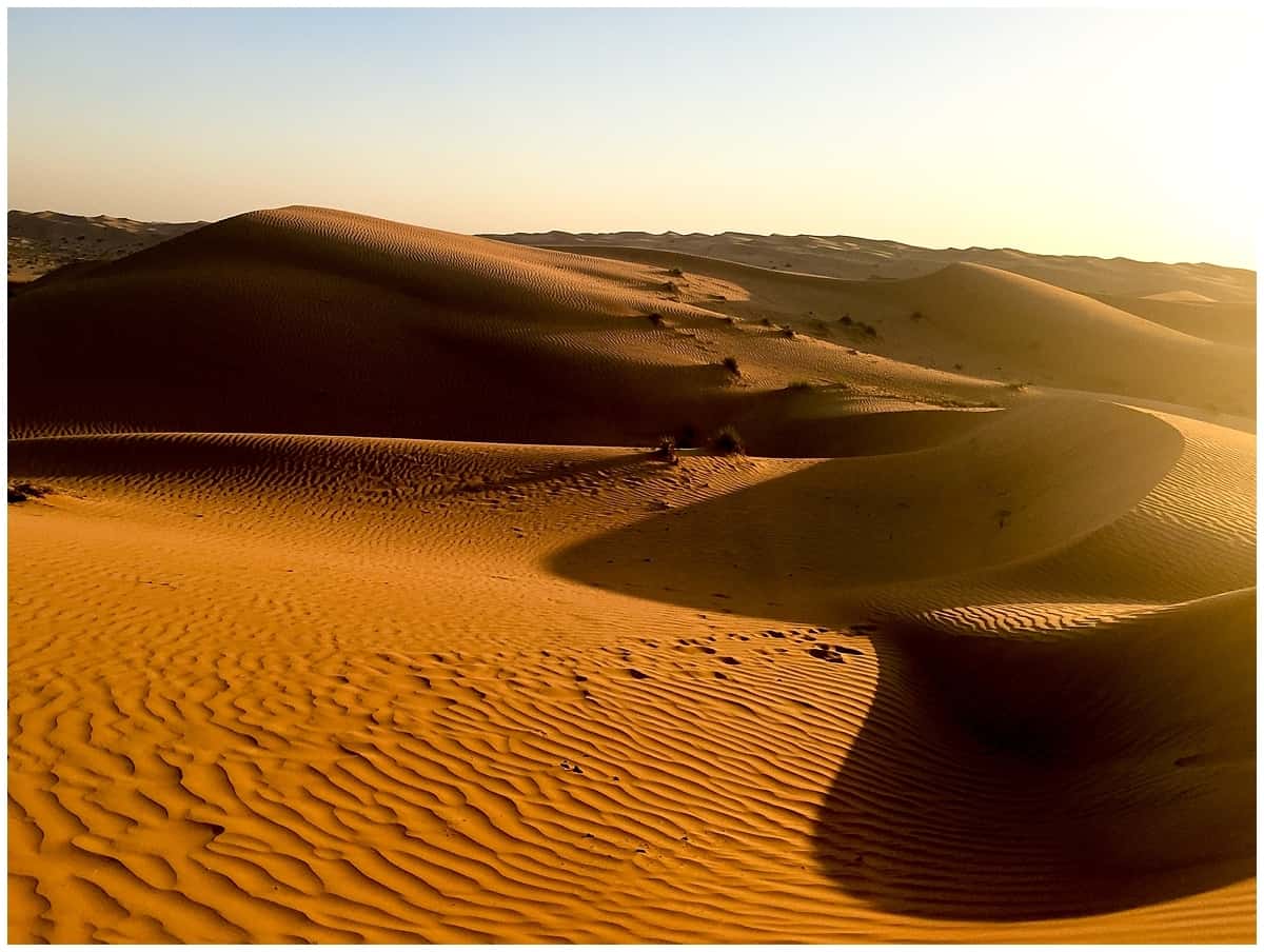 Al Wadi desert